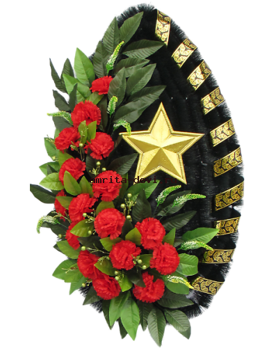 Звезда Защит отечества