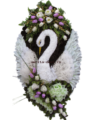 Лебедь белы йдва крыла